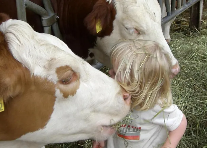 Enkenshof Lejlighed Nettetal